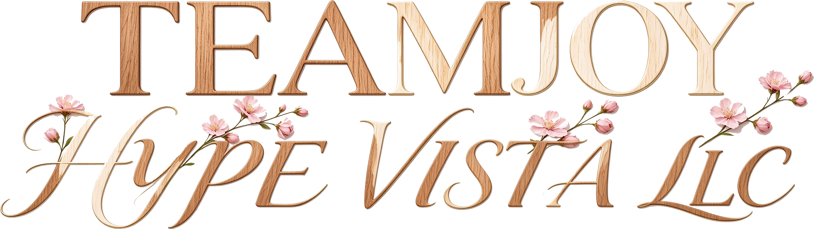 TEAMJOY HYPE VISTA LLC